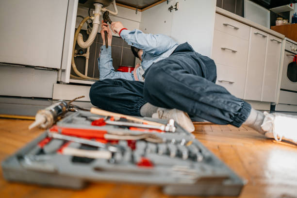 Best Commercial Plumbing Services  in Dyersville, IA